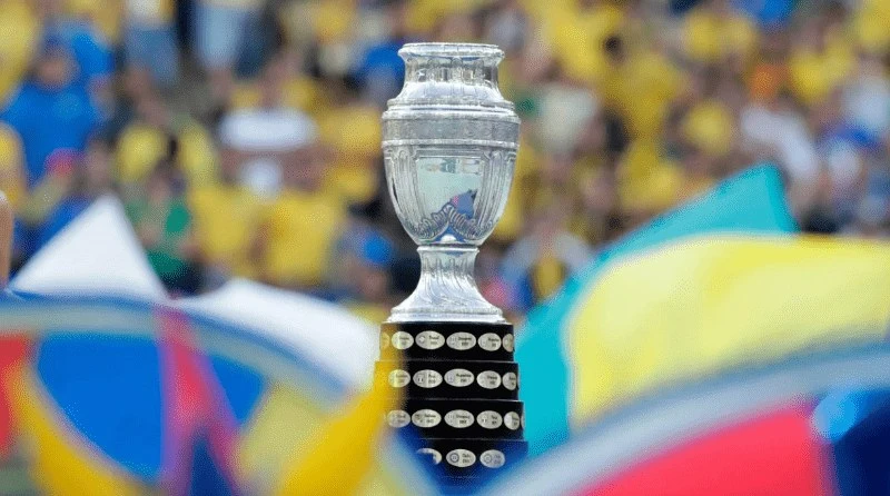 Có 10 đến 12 đội tham dự giải vô địch Nam Mỹ và không cố định 